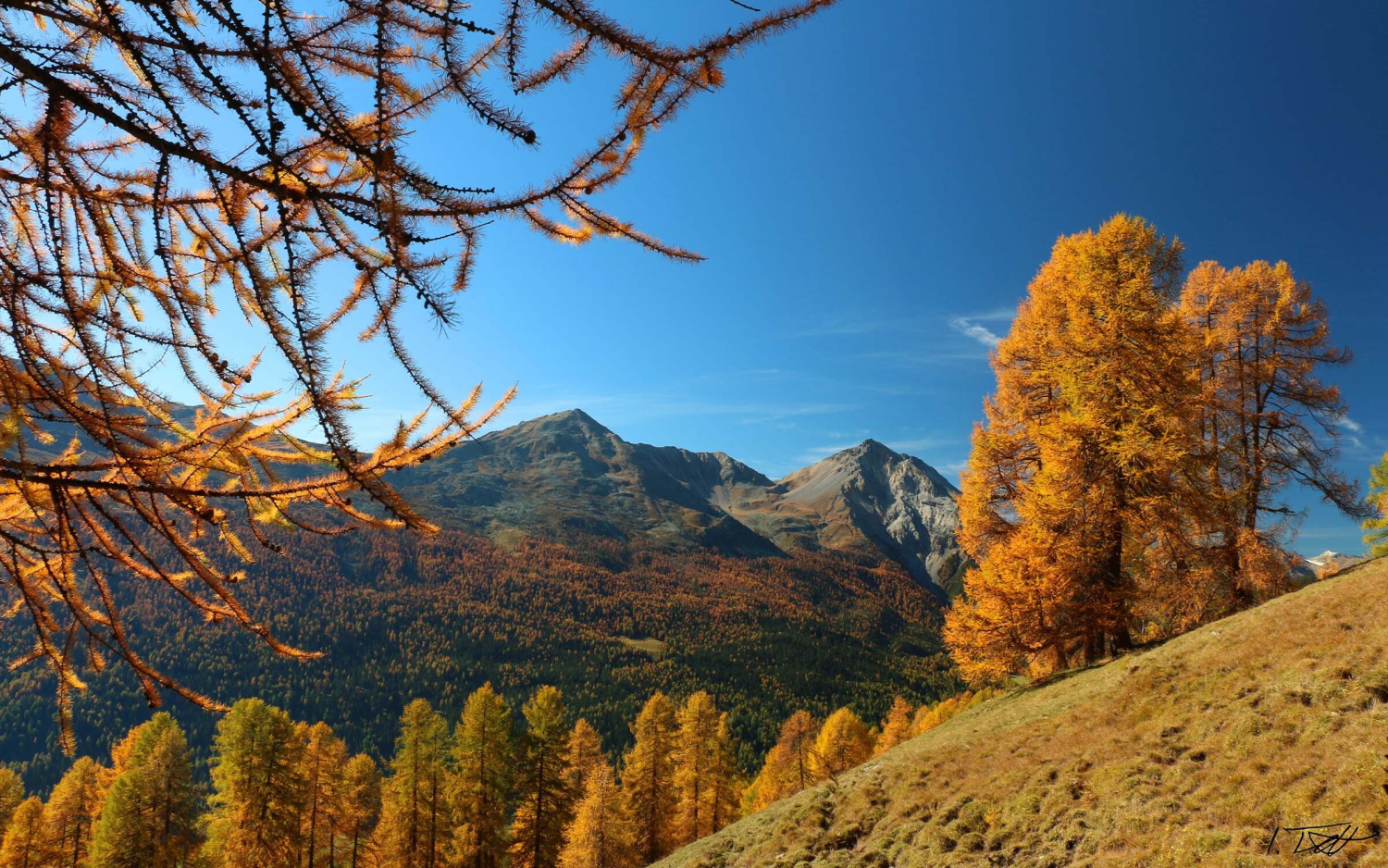 Region chasa de chapol sta maria swiss historic hotels 01