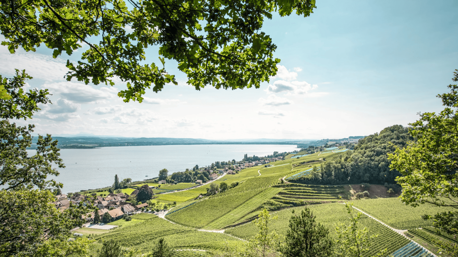 Swiss historic hotels chateau salavaux region