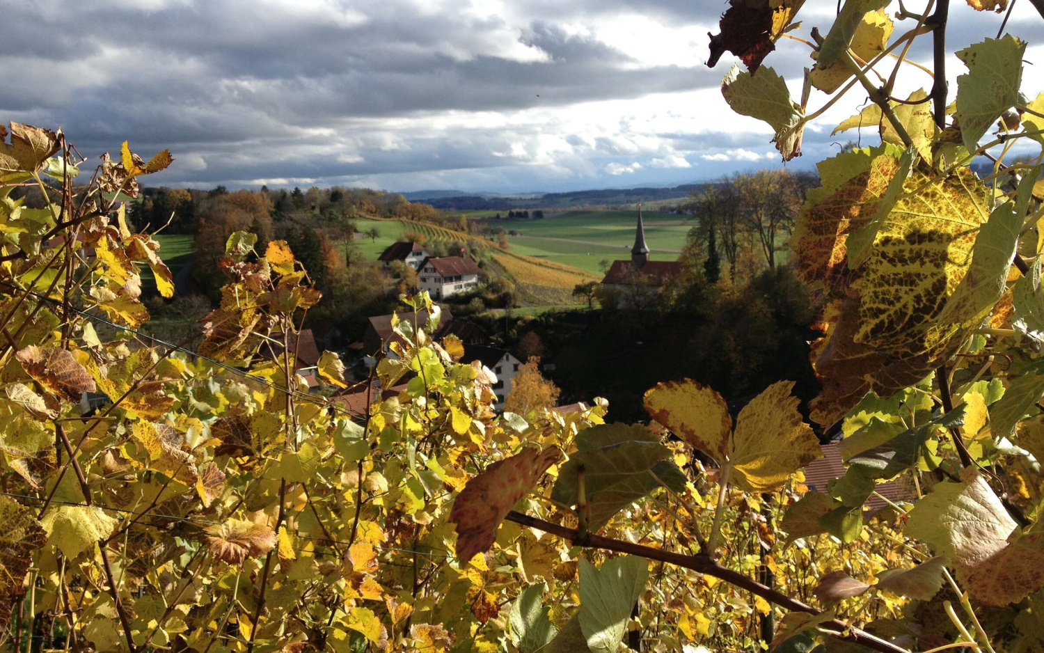 Region gasthof zum hirschen oberstammheim swiss historic hotels 01