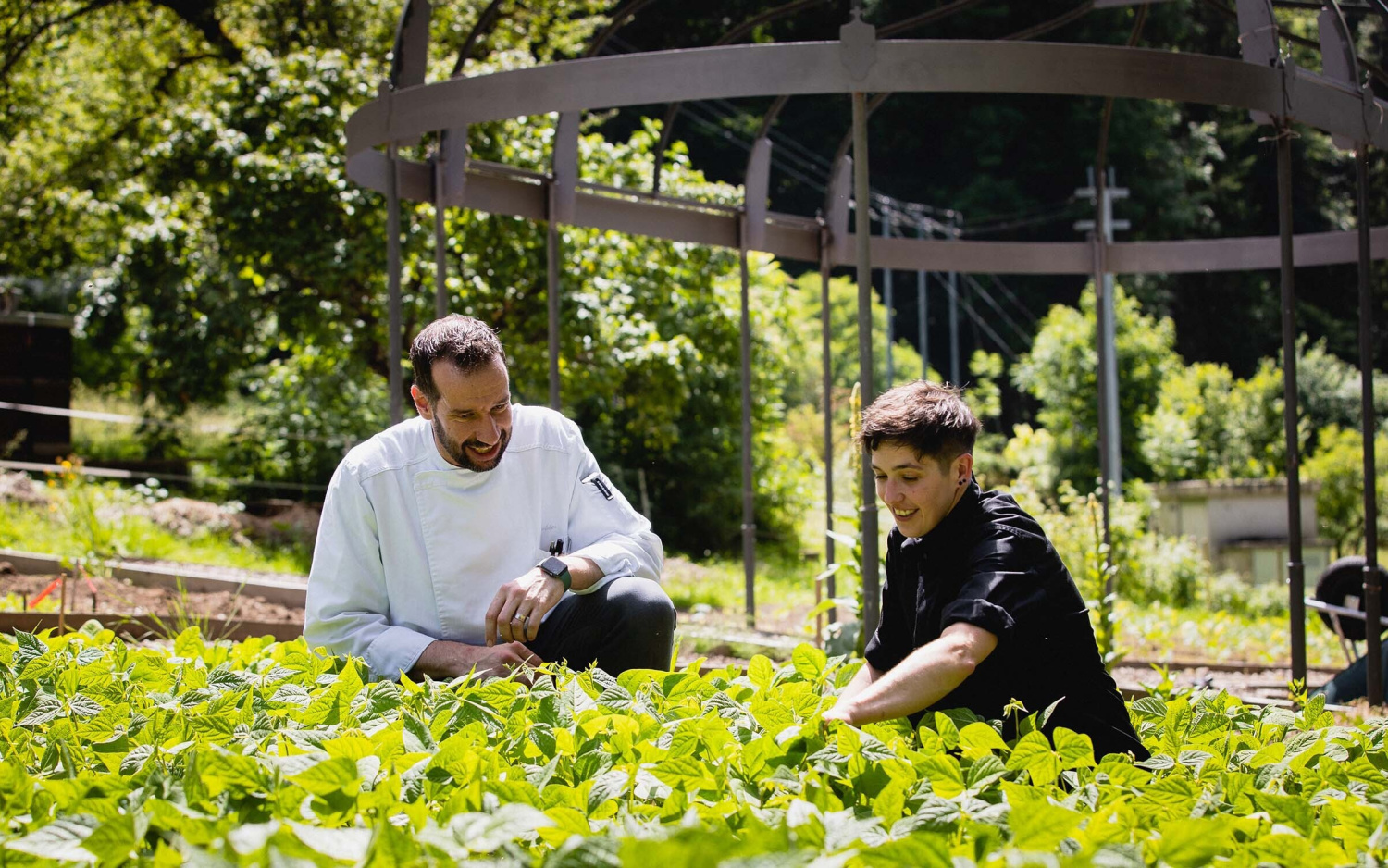 Kulinarik grandhotel giessbach brienz swiss historic hotels 01