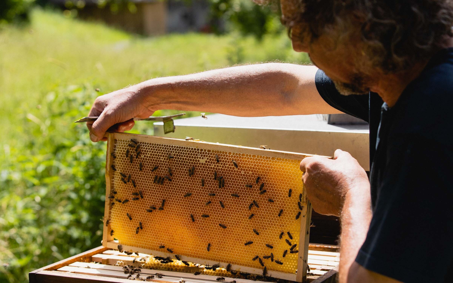 Kulinarik grandhotel giessbach brienz swiss historic hotels 03