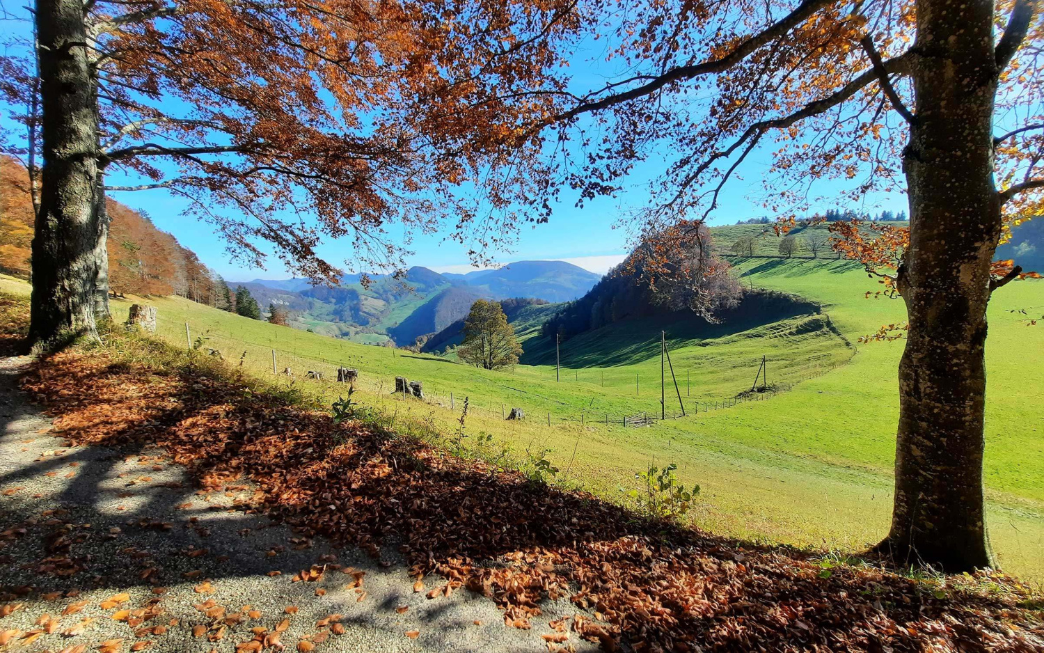Region hotel erica langenbruck swiss historic hotels 01