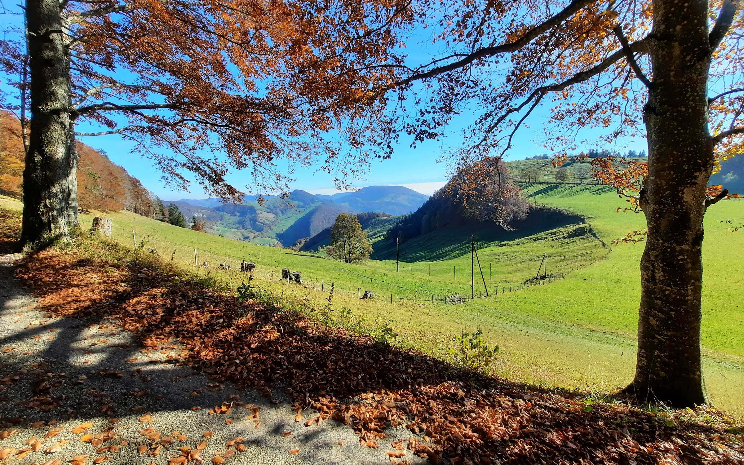 Region hotel erica langenbruck swiss historic hotels 01