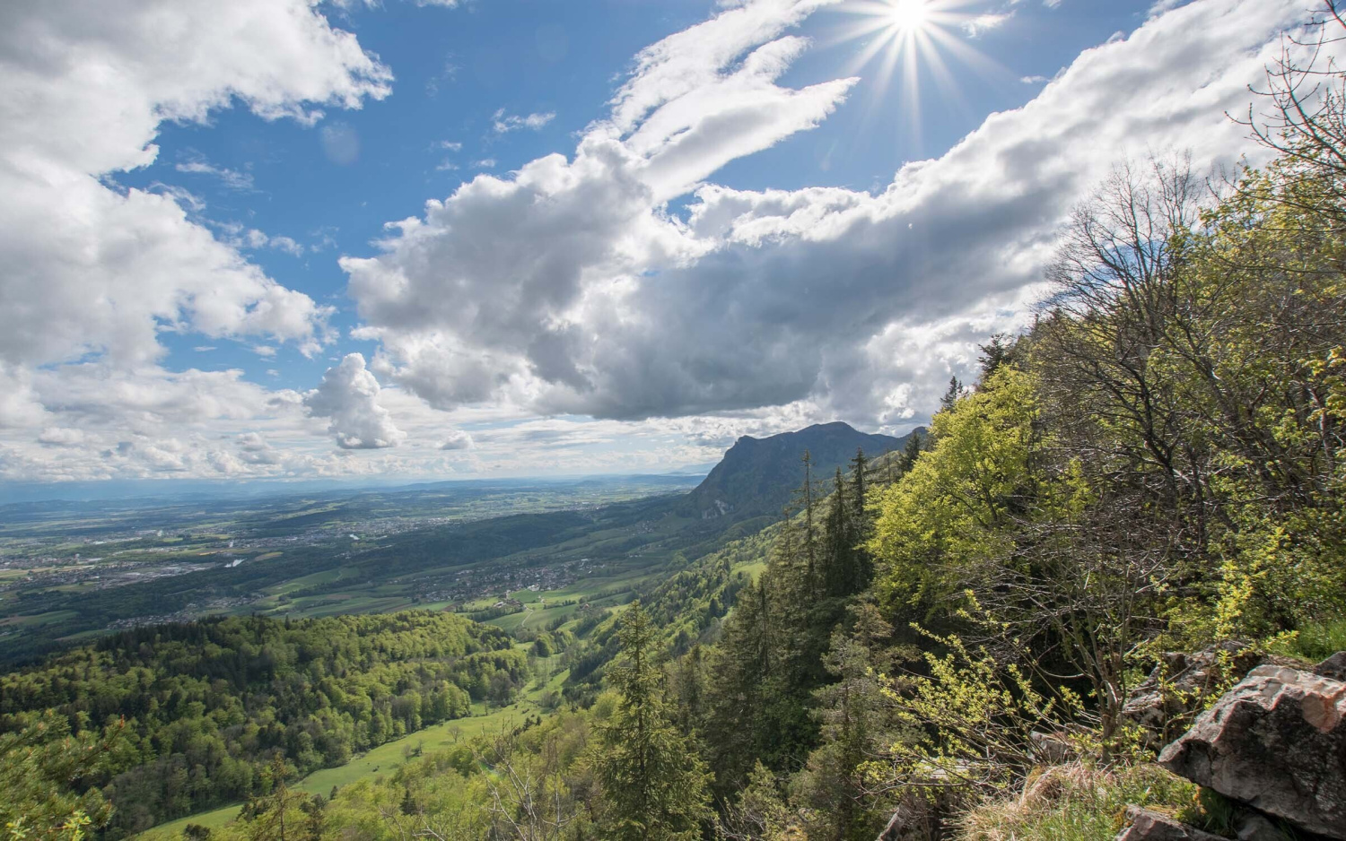 Region hotel kreuz herzogenbuchsee swiss historic hotels 01