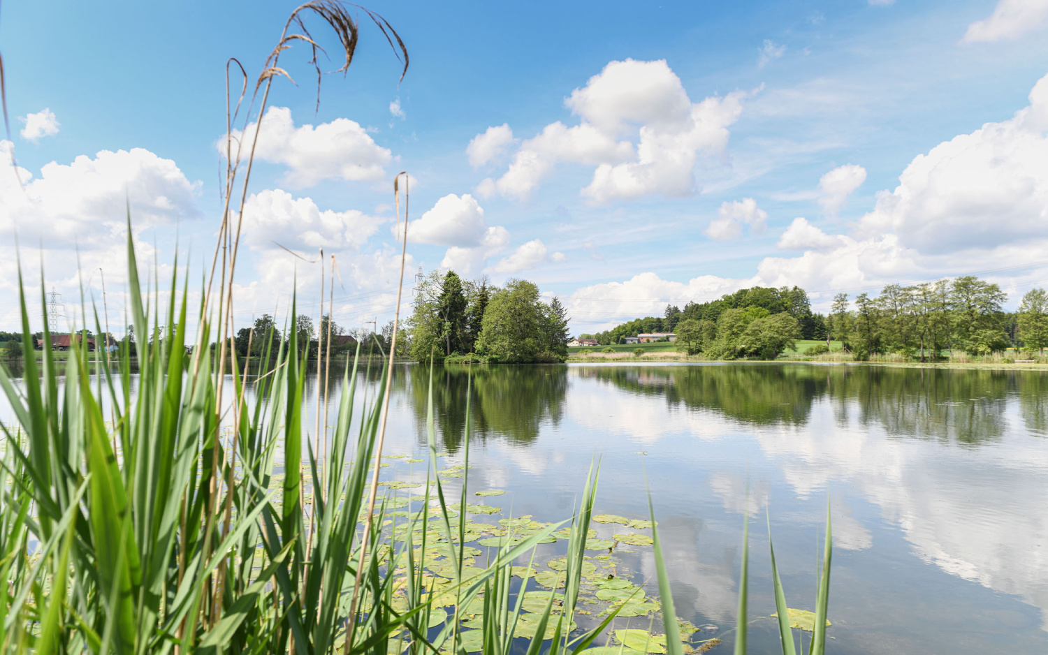 Region hotel kreuz herzogenbuchsee swiss historic hotels 04