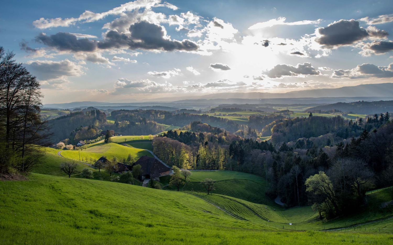 Region hotel kreuz herzogenbuchsee swiss historic hotels 05