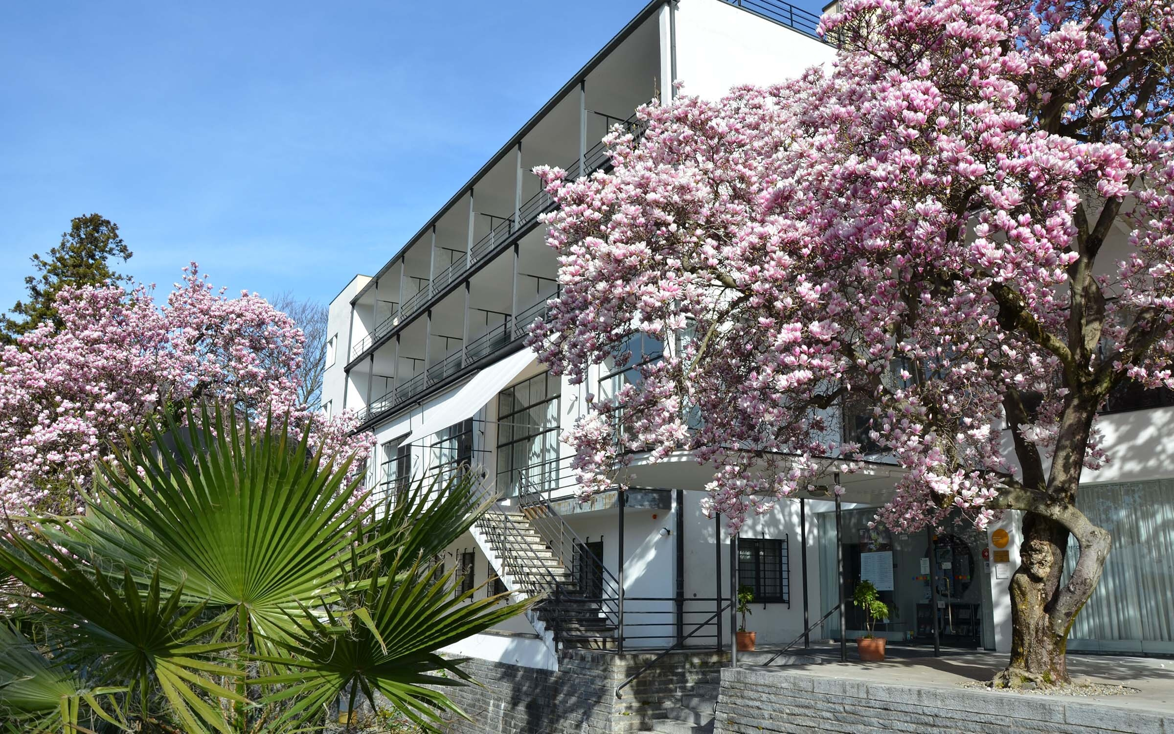 Portrait hotel monte verita ascona swiss historic hotels 02