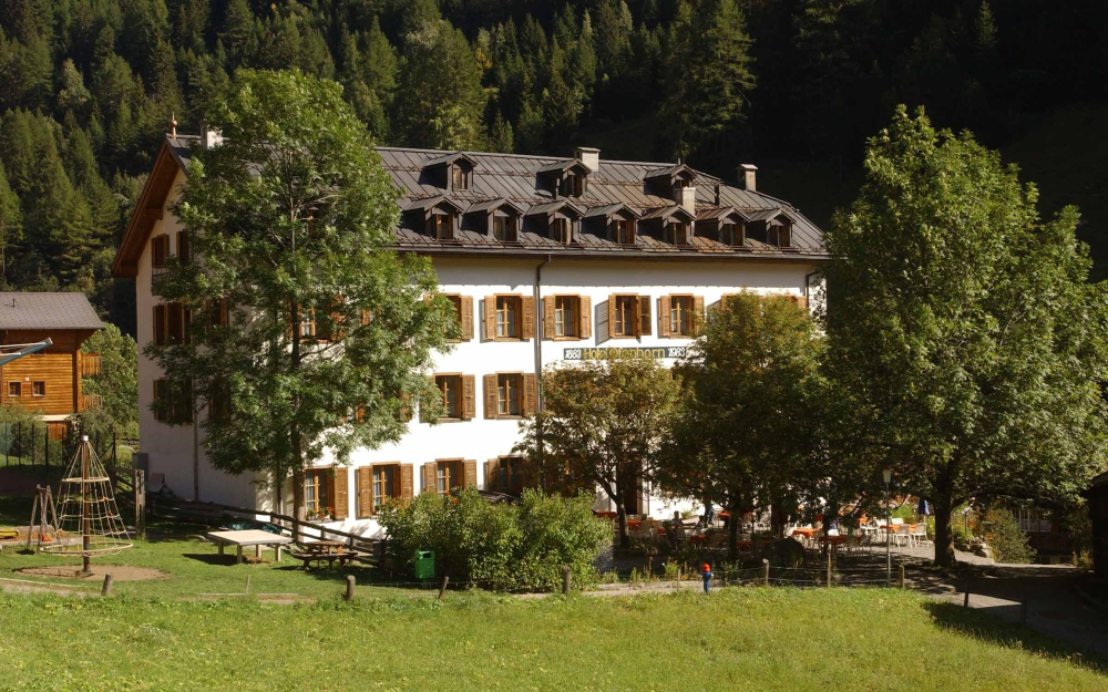 Zusatz hotel ofenhorn binn swiss historic hotels 05