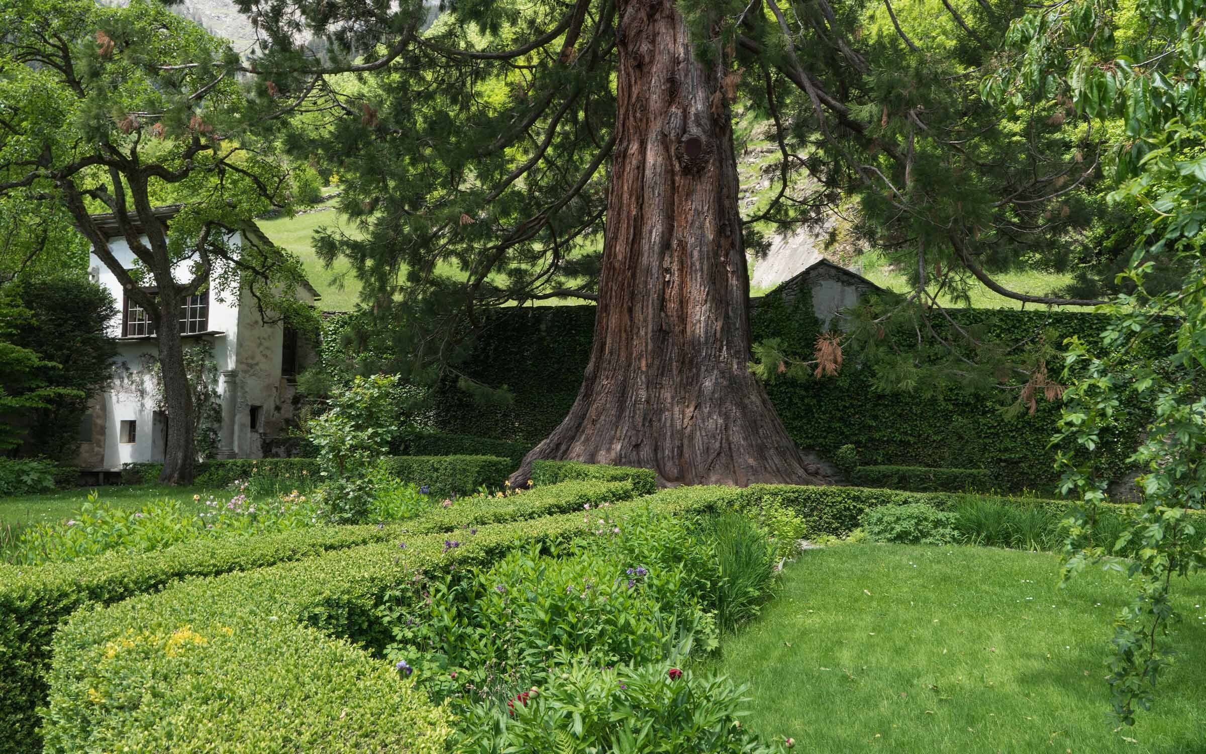 Portrait hotel palazzo salis soglio swiss historic hotels 10