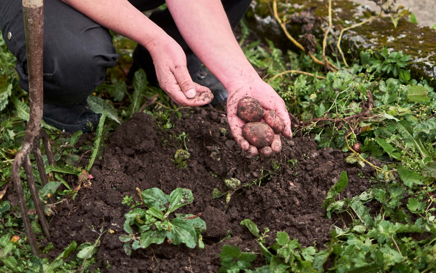 Kulinarik muerren regina swiss historic hotels 01