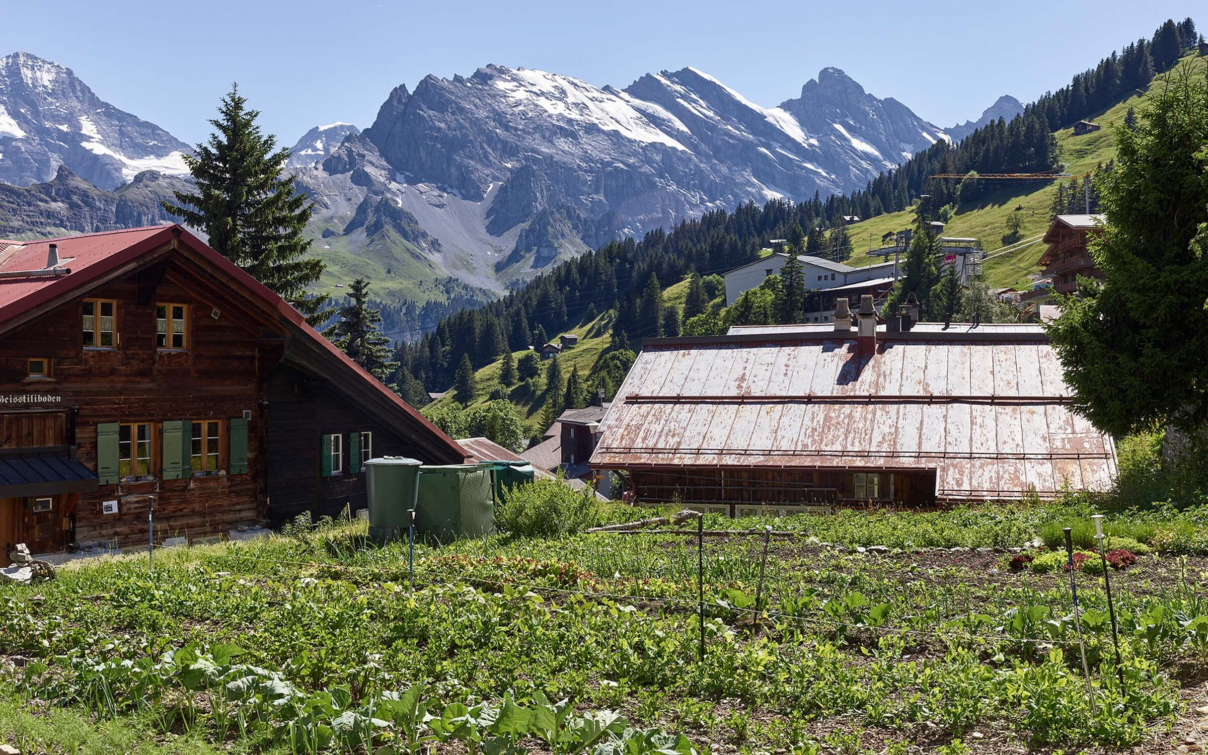 Kulinarik muerren regina swiss historic hotels 02