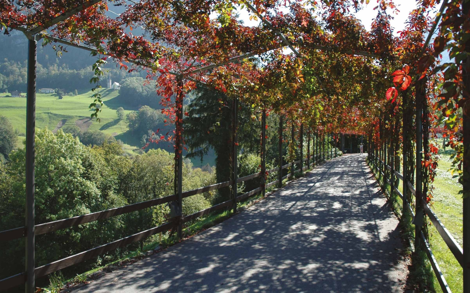 Region hotel paxmontana flueli ranft swiss historic hotels 02