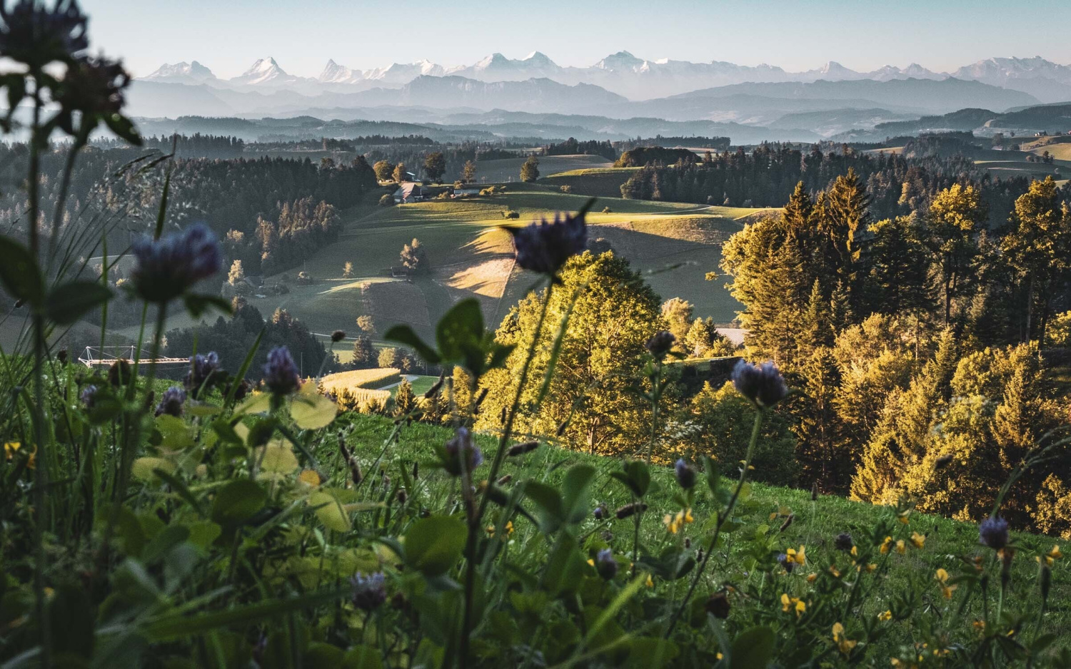 Region romantik hotel baeren swiss historic hotels 02