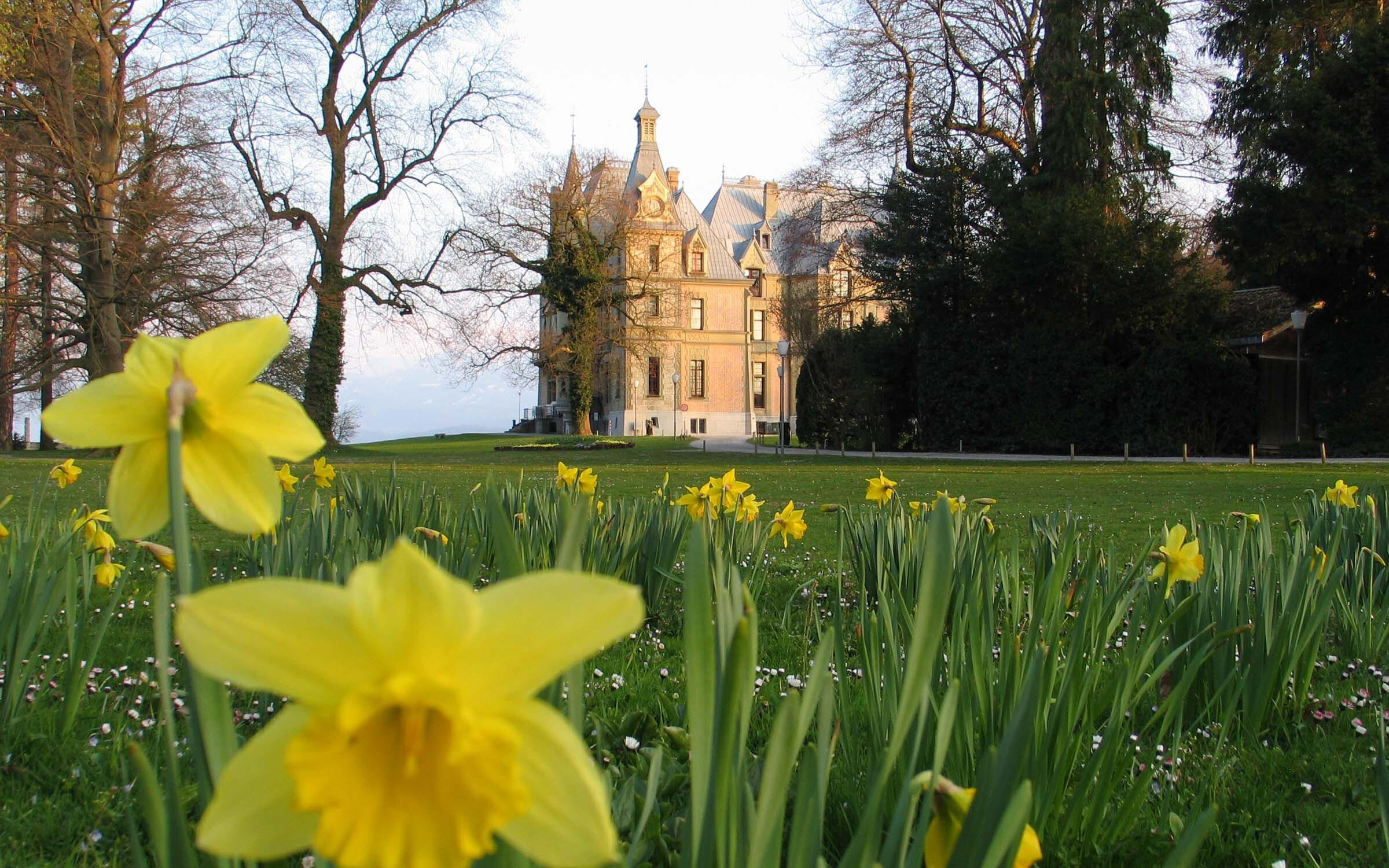 Portrait schloss schadau swiss historic hotels 06