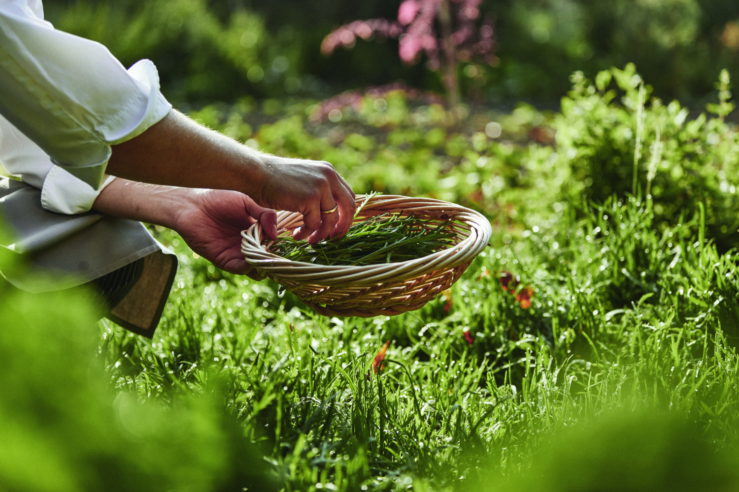 Gastronomie schloss wartegg swiss historic hotels13